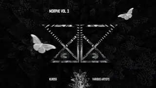 Melgazzo - Transition (Original Mix)