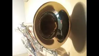 J.S. Bach: Jesus bleibet meine Freude / Jesu Joy of Man’s Desiring for Trumpet and Organ