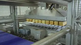 Automated Vacuum Depanner for Toast Production Line | Verhoeven Bakery Equipment Family