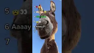 Ranking the best funny moment of animals 😂👀#shorts #viralshorts #funny
