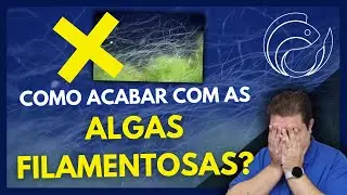 COMO ACABAR COM AS ALGAS FILAMENTOSAS?