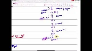 Glycolysis