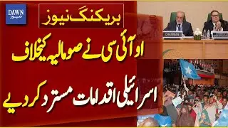 OIC Rejects Israel&rsquo;s Actions Against Somalia | Breaking News | Dawn News