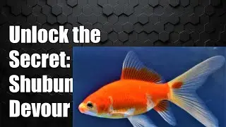Unlock the Secret: Can Shubunkin Fish Devour Mosquito Larvae? Find Out Now!