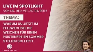 Warum du JETZT im Fellwechsel die Weichen f&uuml;r einen hustenfreien Sommer stellen solltest (27.9.2025)