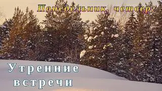 19.02.26. Утренняя встреча #459