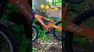 🔥🥶BBSHD BAC2000 orange 223🥶🔥