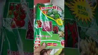 MEMPERBAIKI PH TANAH DENGAN DLOMIT ATAU JERUK NIPIS/ LEMON