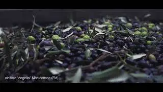Clemente Emotion Malaxing System - Olive Oil Processing