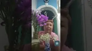 Эфир 24.12.2025