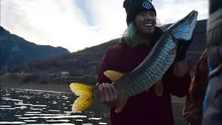 MY FIRST TIGER MUSKIE (UNEXPECTED CATCH)