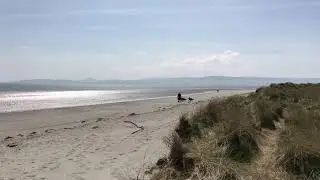 Bull Island beach in DUBLIN
