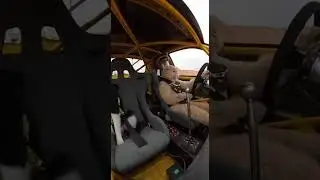 CAT SHIFTS GEARS at FULL SPEED?! 🏎️🐱 Dog & Raccoon PANIC! 🤯