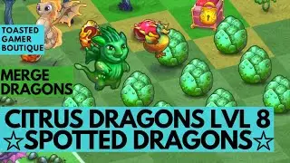 Merge Dragons Citrus Dragon Kid Level 8 &bull; Tier 2 Of The Spotted Dragon ☆☆☆