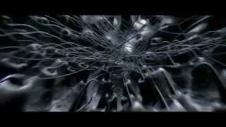 Spider Hunting 3D