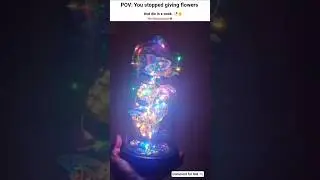 This rose day give them something jo humesha unke sath rhe finds from messho 😍#aestheticvibes #viral