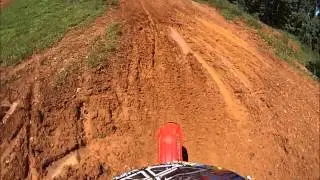 Mx421