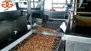 Industrial Broad Beans Frying Machine|Broad Beans Frying Machine Price