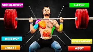 The Most IMPORTANT Muscles For Athletes