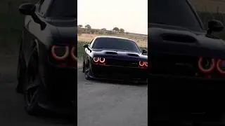 car lover #car #india #reels #shorts