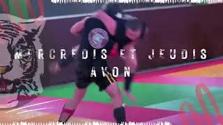 Sanda (Boxe Chinoise)