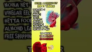 K.t aquarium famous combo offers 🥳🤩what&rsquo;s app 9361765096 order now