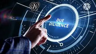 DUE DILIGENCE MEANING 