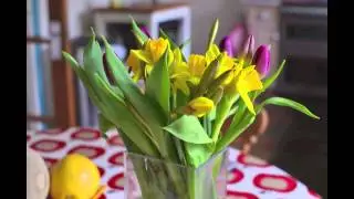 Time Lapse - Flower Experiment no. 1