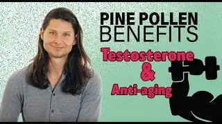 Pine Pollen Powder Benefits Anti-Aging AntiOxidants TESTOSTERONE WILD NUTRITION