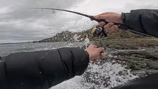LUBINAS EN A CORU&Ntilde;A TRAS 40 DIAS DE TEMPORALES ( GALICIA )