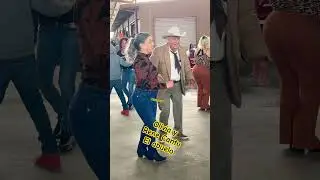 Pulga de Alamo Texas #shorts #cumbia #musica #baile #youtubeshorts #humor #spotifyclone