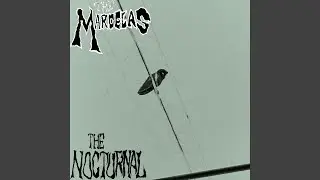 Nocturnal