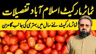 Tomato Update | Tomato Auction Prices | 3 January 2026 | Grand Tomato Market Islamabad Today 