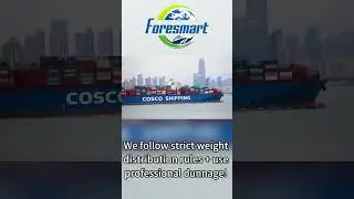 Keep Your Container Cargo Safe at Sea! Choose Foresmart!