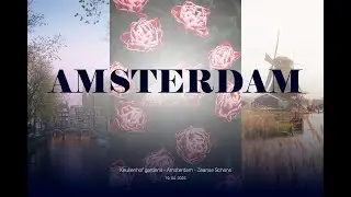 Amsterdam | Cinematic Travel Film | Nikon Z6iii