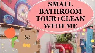 Small bathroom tour (storage for tiny space) + clean with me (cheap cleaning products)