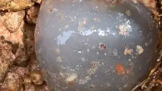 Finds natural gemstone agate part 357