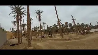 visite de la ville historique de Sidi Okba dans le Sud de l'Alg&eacute;rie