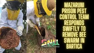 Mazaruni Prison Pest Control Team Responds Swiftly To Remove Bee Swarm In Bartica