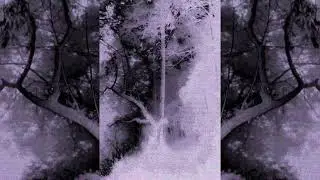 Forest Nymph - Sophie Woodhouse (slowed+reverb)