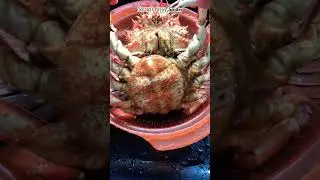 ពីងពាងសមុទ្រសុទ្ធតែពង ឆ្ងាញ់ហា/ Spider Crab 🦀 #shorts #seafood #vannda #yummy #cooking #fyp #short