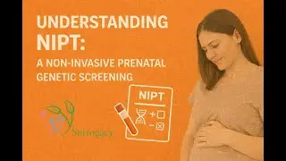 Understanding NIPT: A Non-Invasive Prenatal Genetic Screening