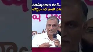 Minister Harish Rao Punch Dialogues