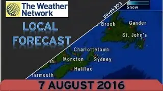 The Weather Network Local Forecast - 7 August 2016