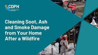 Cleaning Soot, Ash and Smoke Damage from Your Home After a Wildfire
