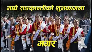 Maghe Sankranti |काठमाडौंमा मगर समुदायले माघे सङ्&zwj;क्रान्ति मनाए| माघे सङक्रान्तीको शुभकामना