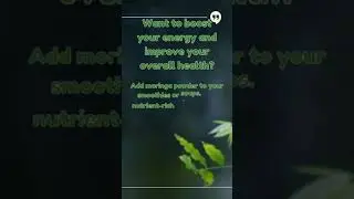 The Power of Moringa Powder: Superfood for Energy and Health #boostenergy