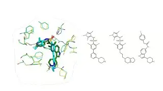 webinar recording: How to design selective ligands for highly conserved binding sites