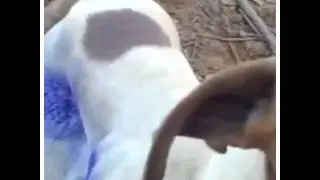URGENTE!!!! AJUDEM!