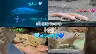 [VLOG] 우파루파ㅣ카피바라ㅣ보고 싶은 동물 다 보러 가기🦫🦎🐑🦘💙💚🩵🩷